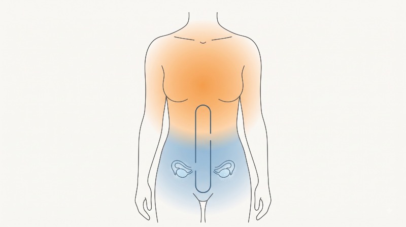 다낭성난소증후군 개념도, 상체는 붉고 하복부는 푸른 온도 분포