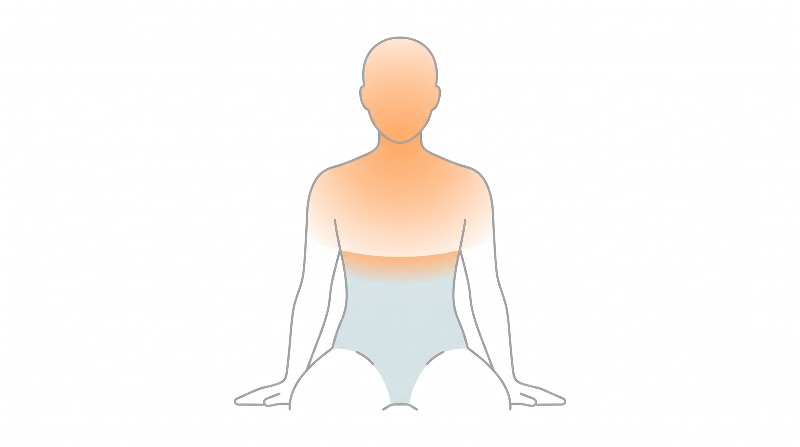 상체는 따뜻하고 하복부는 차가운 다낭성난소증후군 온도 분포 도식
